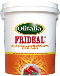 Friol Olio Per Friggere Semi Latta da 25 Litri Frittura